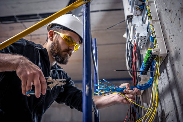 Best Electric Panel Repair  in Auburn, AL